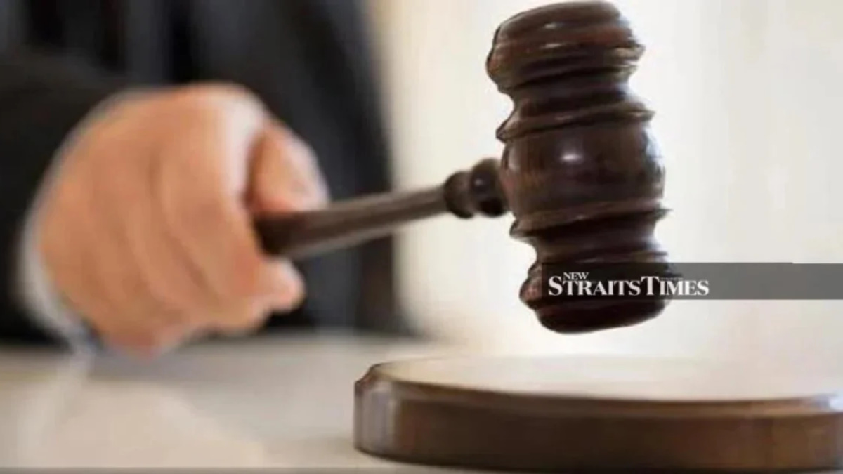 Lorry Driver Cleared of Stolen Livestock Charge in Separate Case