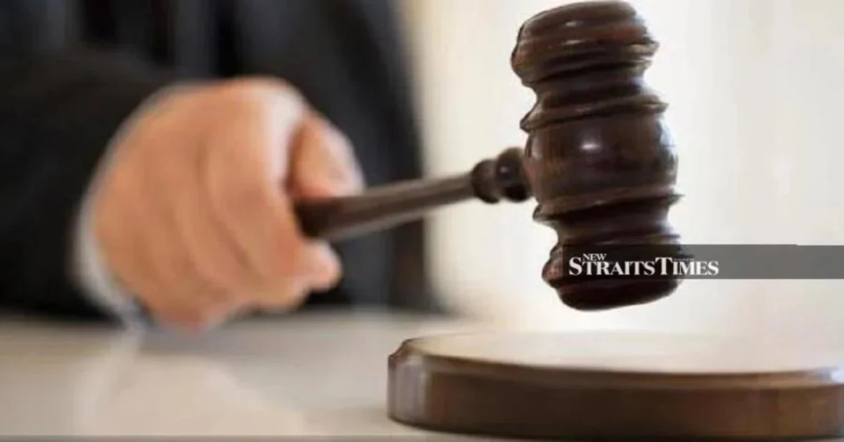 Lorry Driver Cleared of Stolen Livestock Charge in Separate Case