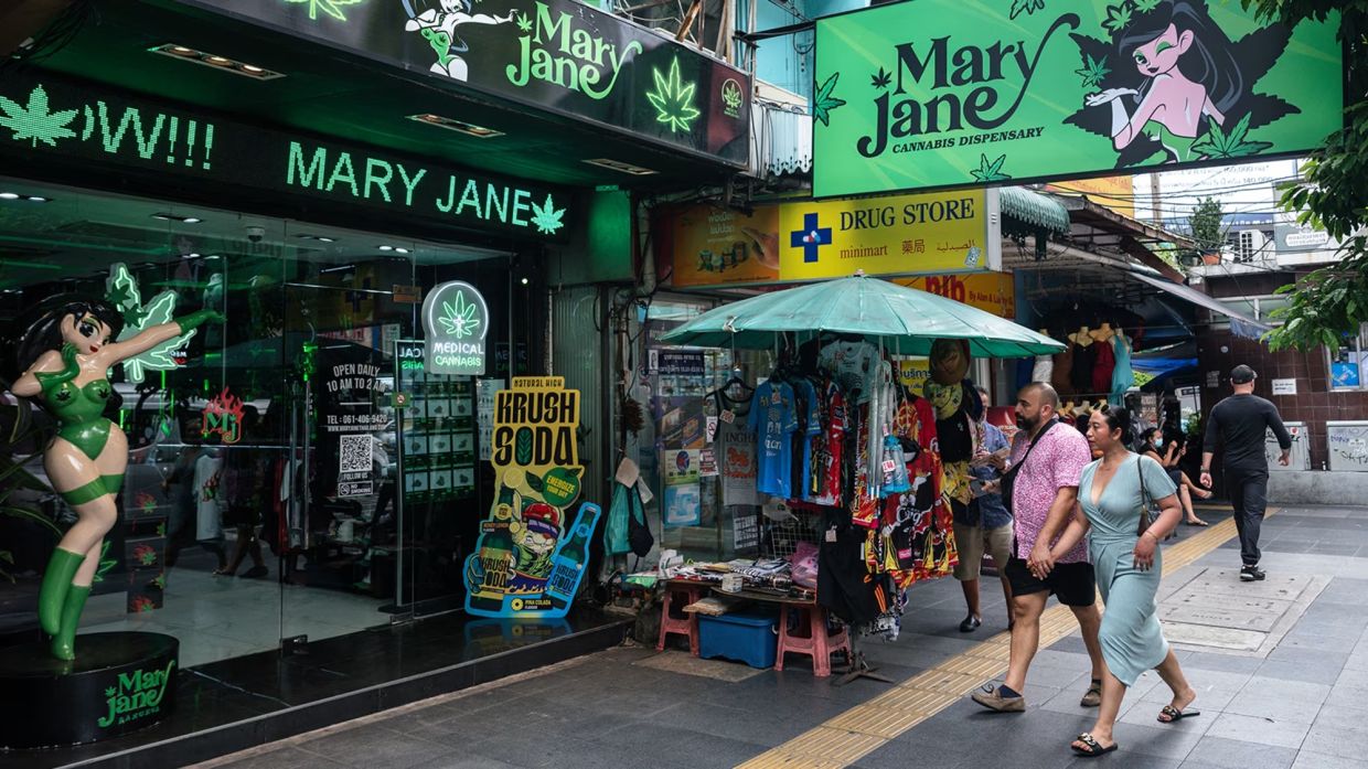 Thailand Grapples with Cannabis Regulation as Policy Review Exposes Deep Divides