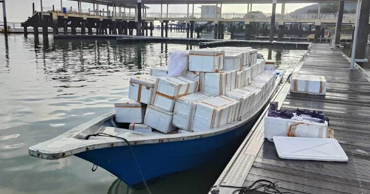 Malaysian Maritime Enforcement Seizes RM2.7 Million Baby Lobster Shipment Bound for Singapore