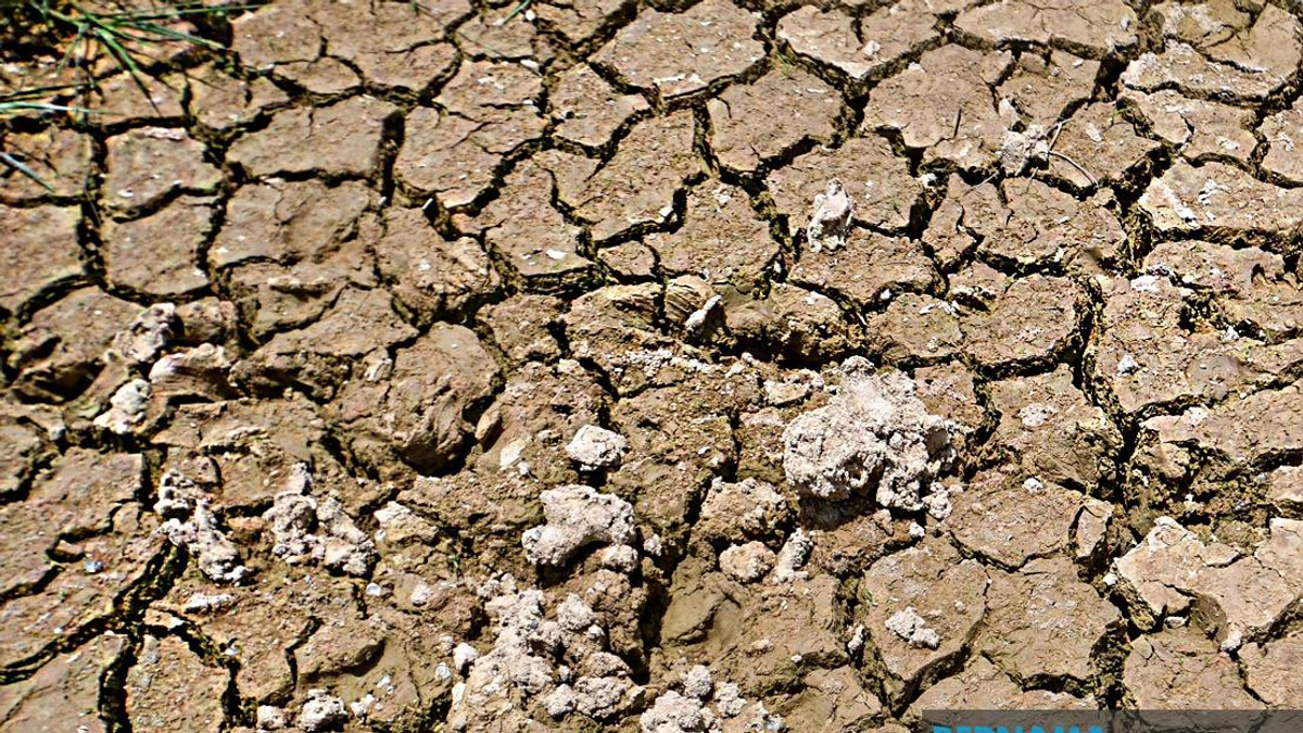 BRICS Nations Face Mounting Pressure From Drought and Desertification Crisis