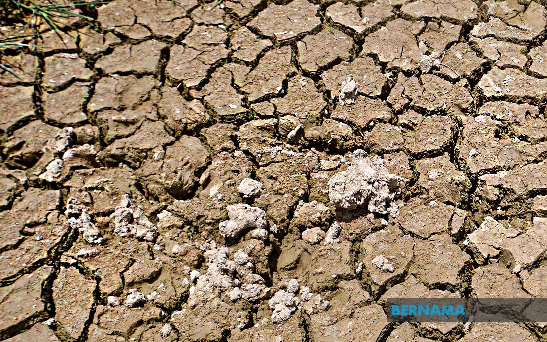 BRICS Nations Face Mounting Pressure From Drought and Desertification Crisis