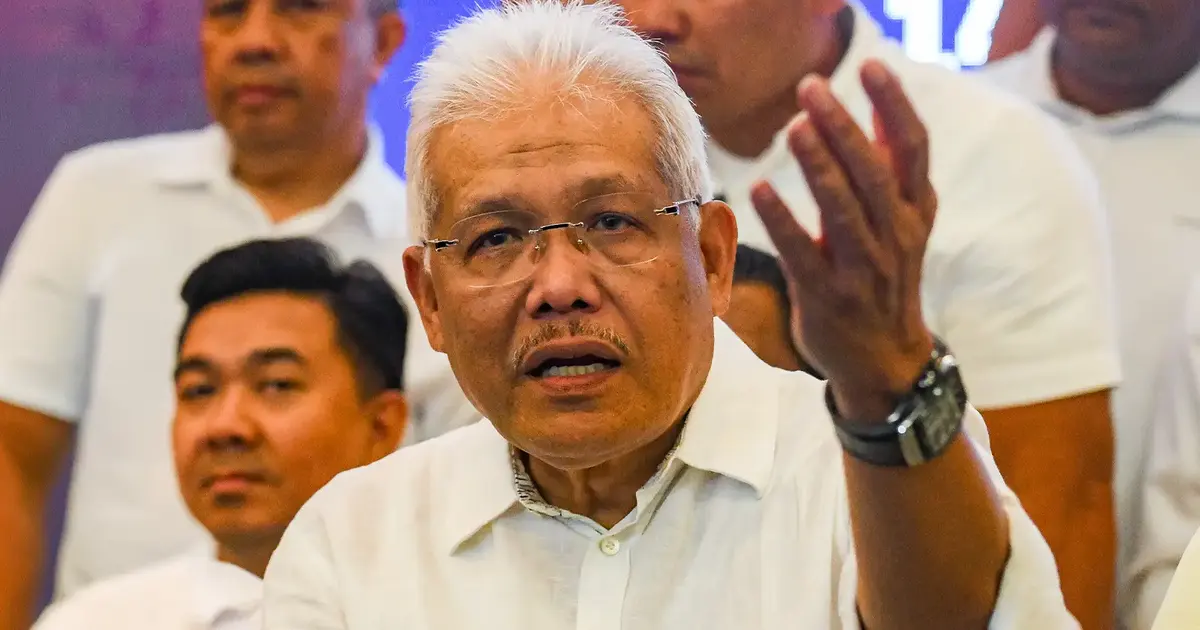 New Wawasan party expected to adopt Bersatu's ethno-nationalist strategy, analyst warns