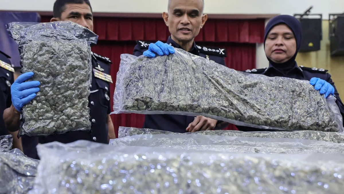 Police Intercept 650kg Cannabis Haul at KLIA as Major Drug Trafficking Network Dismantled