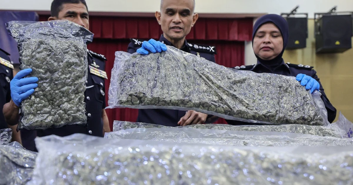 Police Intercept 650kg Cannabis Haul at KLIA as Major Drug Trafficking Network Dismantled