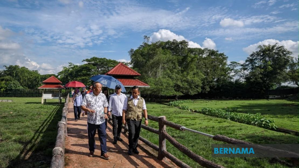Sabah UMNO Deploys Machinery to Support BN in Johor Elections