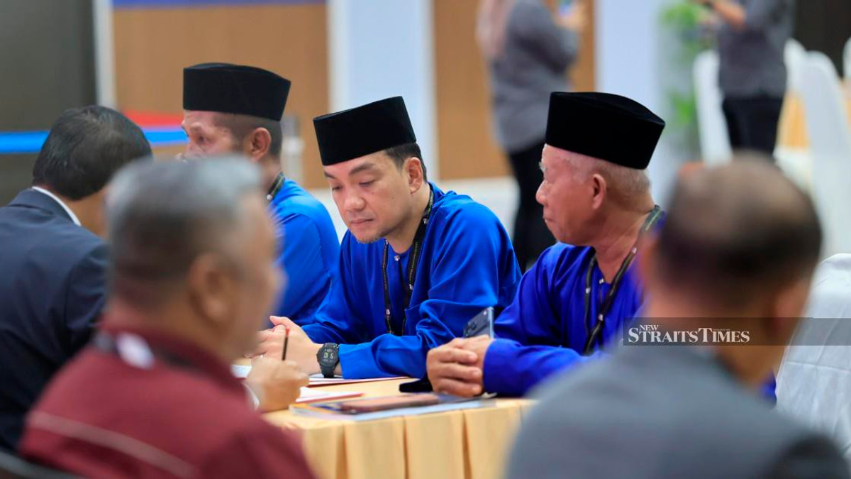 Johor's 16th State Election: Nomination Process Closes, 56 Centres Shut Down at 10am