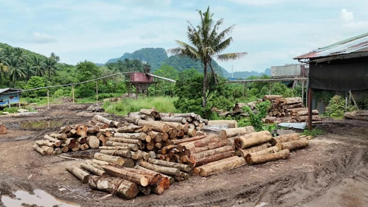 GOF Detains 11 Suspects, Seizes RM2.43mil in Timber During Kelantan and Terengganu Operations